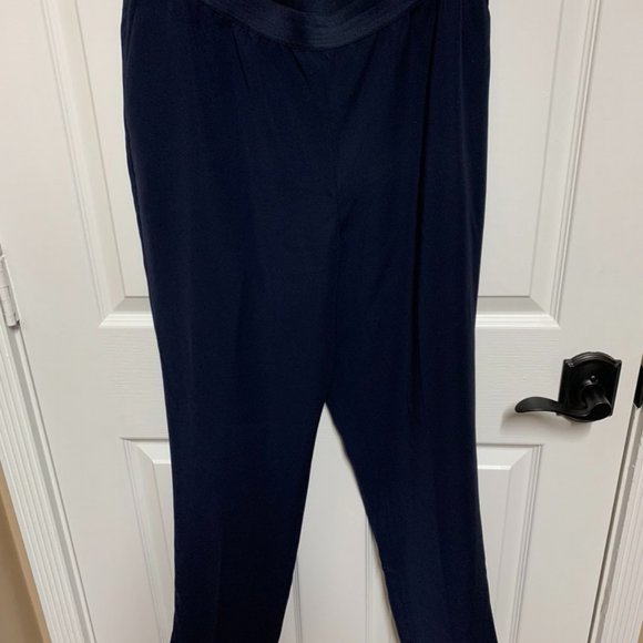 Ann Taylor Pant-Navy - Picture 1 of 5